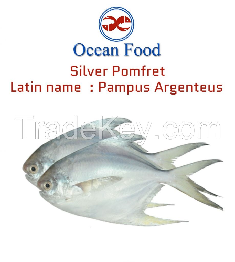 Pomfret