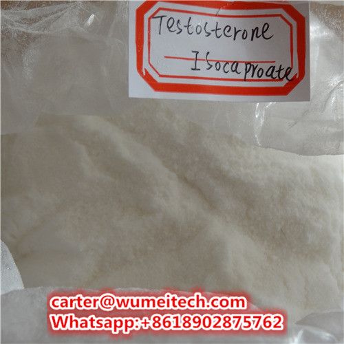 Testosterone isocaproate