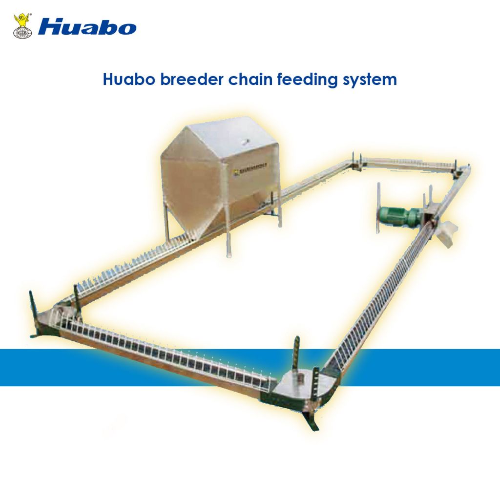 Auto Poultry Chain Feeding Equipment System For Breeder Farm