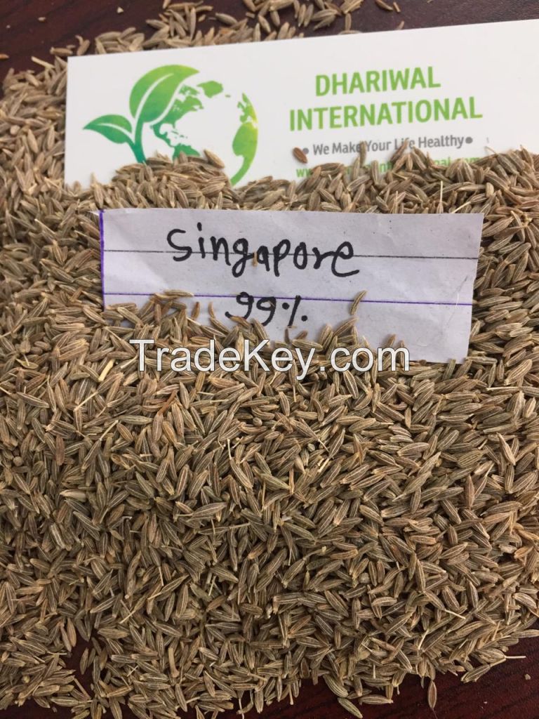 cumin seeds