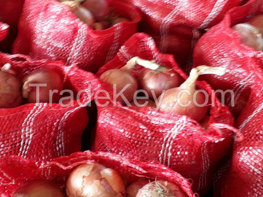 Fresh Red Onion