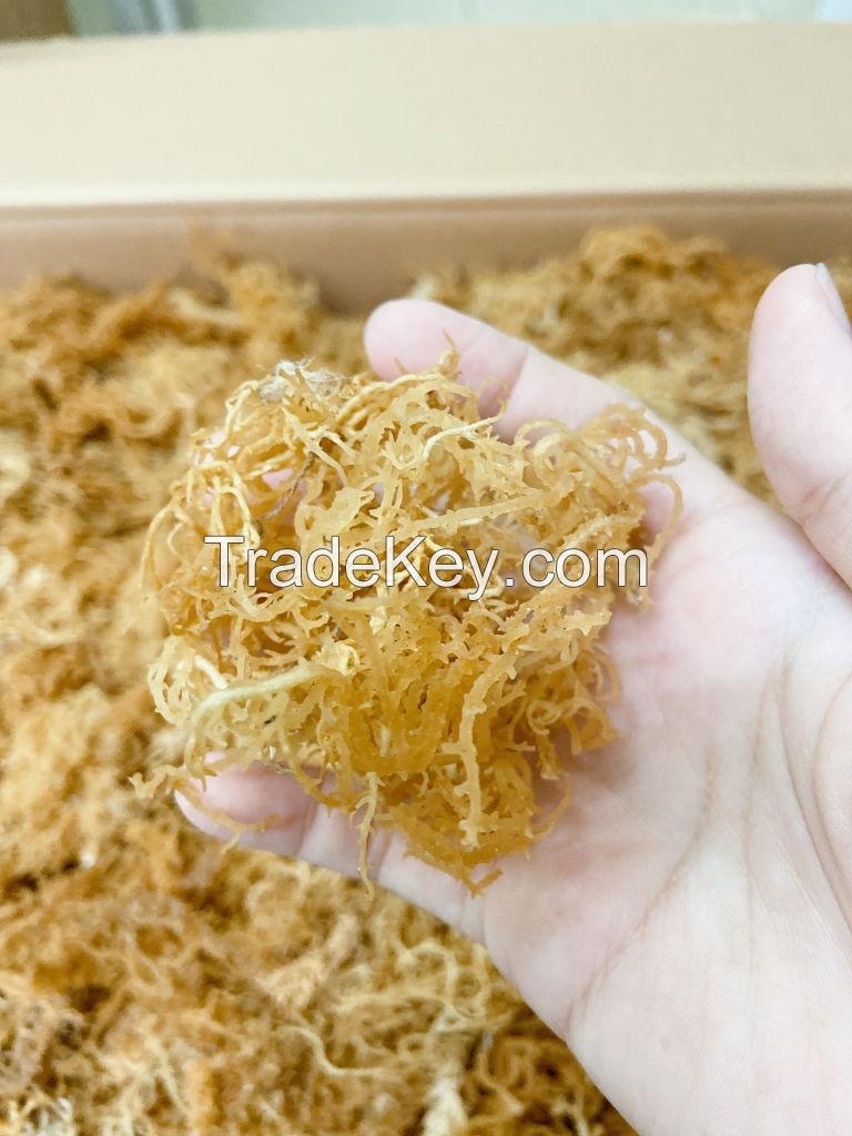 DRIED SEA MOSS/ 100% NATURAL SEA MOSS FROM VIETNAM WITH COMPETITIVE PRICE