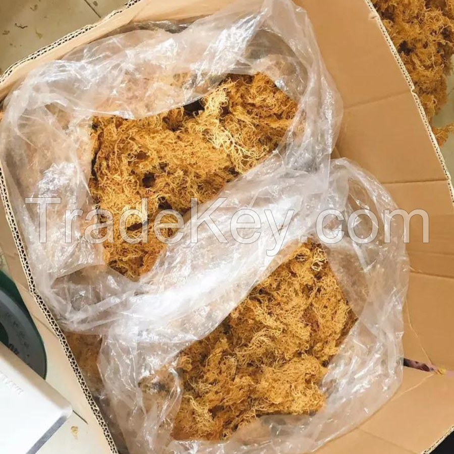 DRIED SEA MOSS WITH COMPETITIVE PRICE FROM VIET NAM