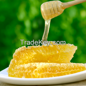 SOURCE BULK ACACIA HONEY - 100% Natural Pure Honey from Vietnam