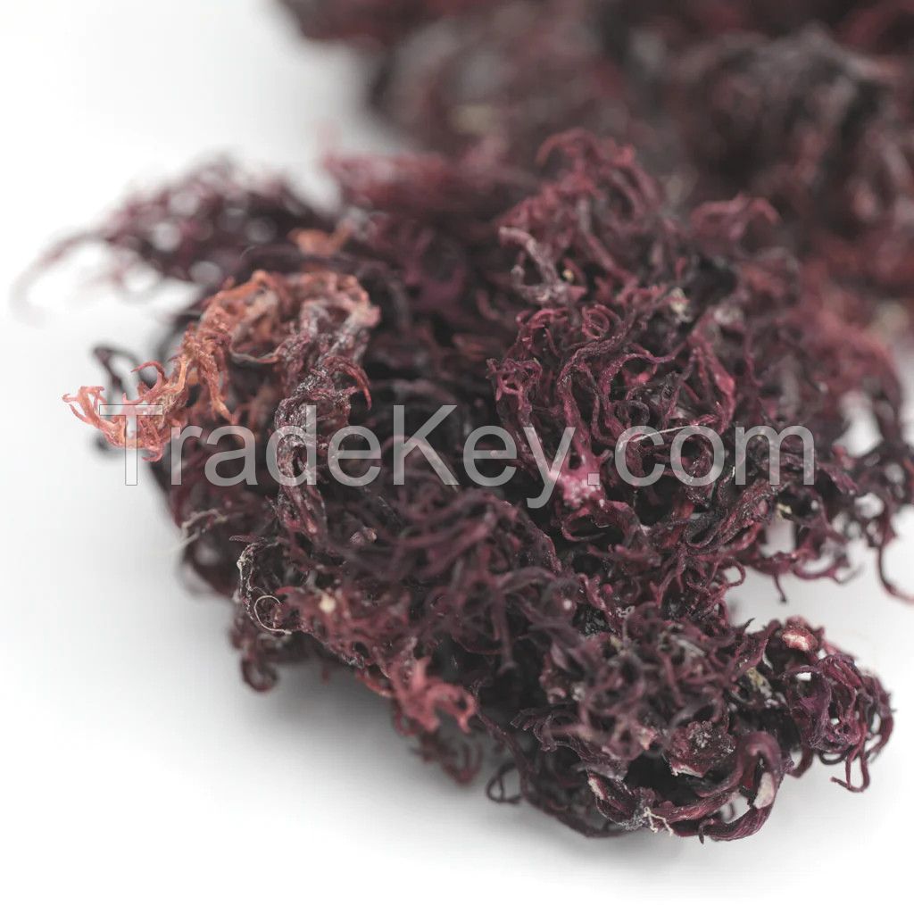 NATURAL PURPLE SEA MOSS GOLDEN SEA MOSS