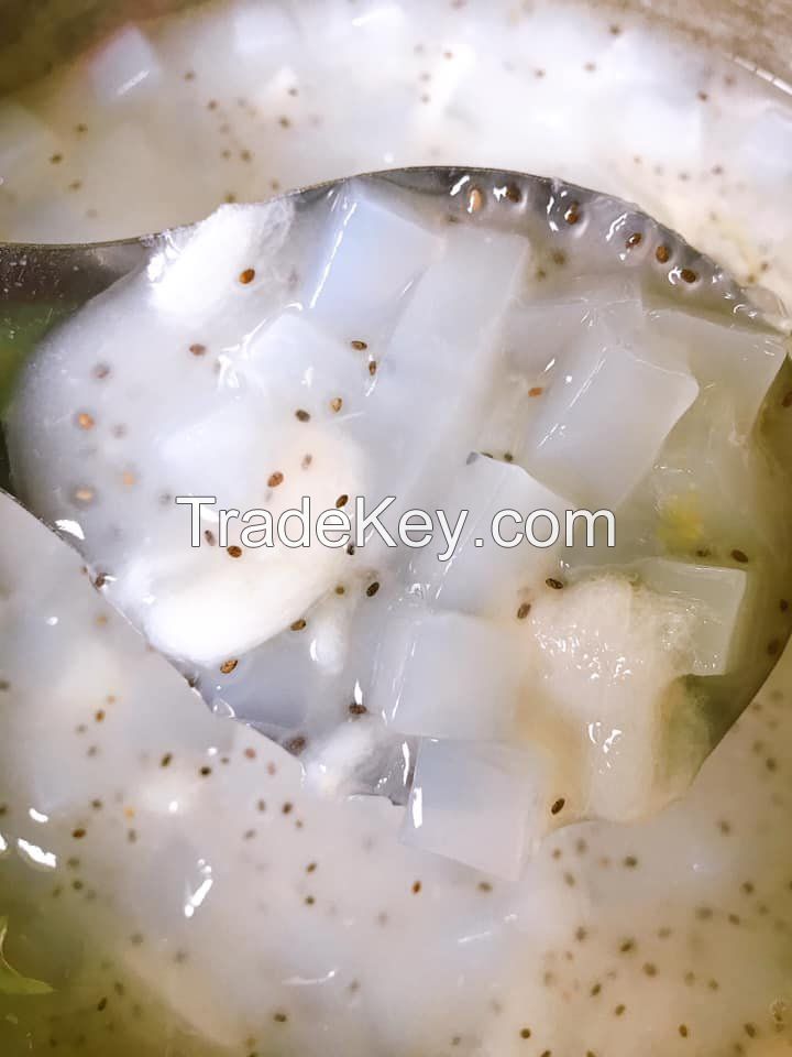 CHEAP PRICE GOOD QUALITY NATA DE COCO COCONUT JELLY FROM VIETNAM Serena