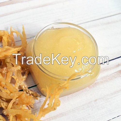 Sea Moss all Natural Ocean Raw Gold Irish Sea moss Organic Vegan Non-GMO Sundried Seaweed Serena