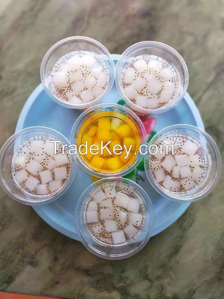 Hot Trending RAW NATA DE COCO in Syrup COCONUT JELLY from Vietnam for drink Serena