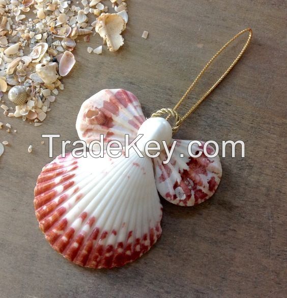 Supplier large quantity with cheap price scallop seashells