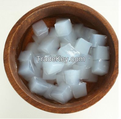 Hot Trending RAW NATA DE COCO in Syrup COCONUT JELLY from Vietnam for drink Serena