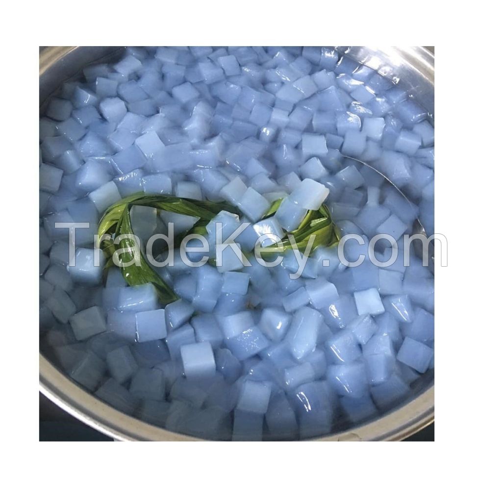 CHEAP PRICE GOOD QUALITY NATA DE COCO COCONUT JELLY FROM VIETNAM Serena