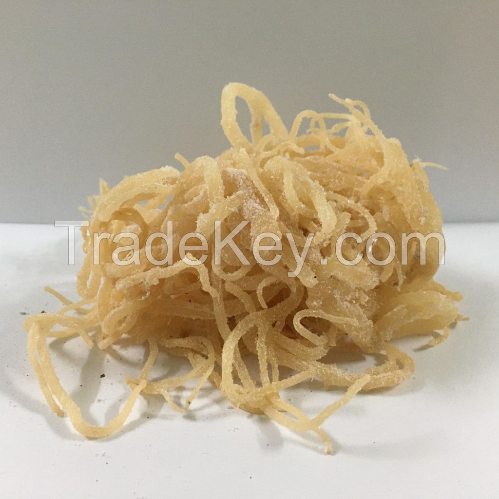 High Quality Culinary Grade Dried Sea Moss for Cooking and Soap Crafting Serena