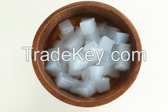 High Quality Nata de Coco in Syrup for Sweetening Beverages and Desserts