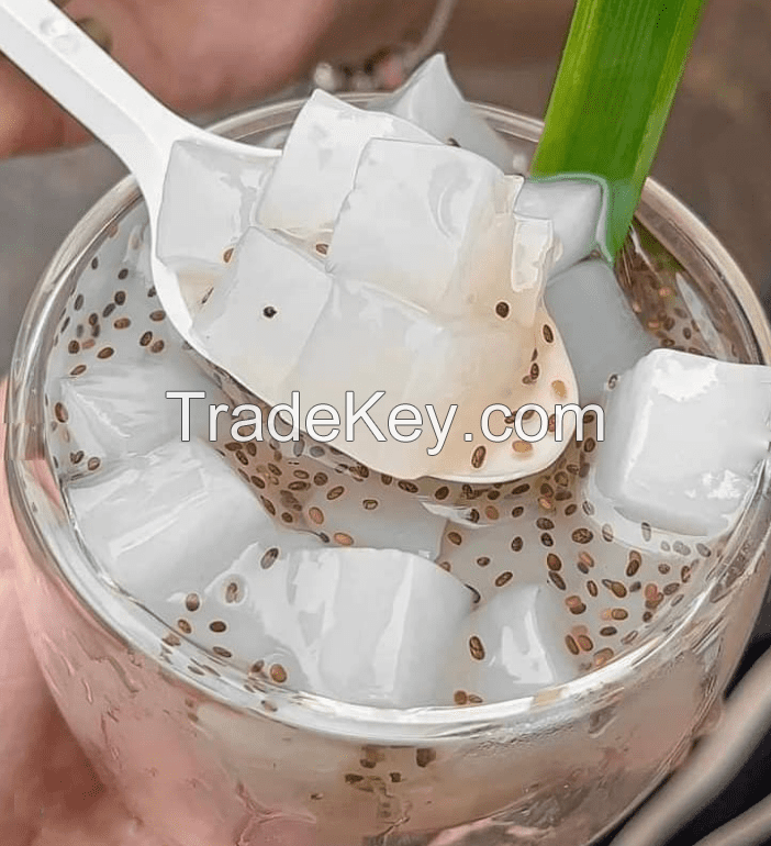 Nata de Coco in Syrup for Sweetening and Topping Desserts Serena