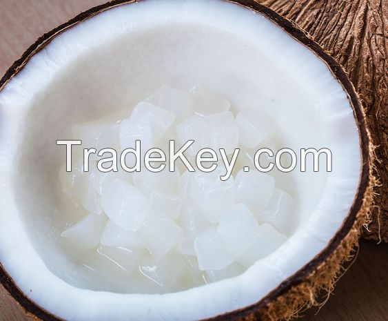 Hot Trending RAW NATA DE COCO in Syrup COCONUT JELLY from Vietnam for drink Serena