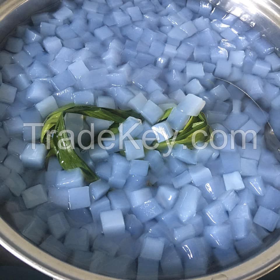 WHOLESALE NATA DE COCO JELLY COCONUT FROM VIETNAM BEST PRICE FOR YOUR CHOICE  Serena