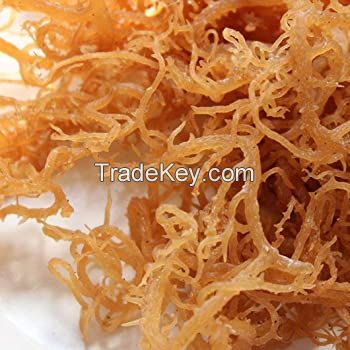 DRIED WHITE SEAMOSS OR IRISH SEA MOSS WITH HIGH QUALITY VEGAN IRISH SEA MOSS SERENA