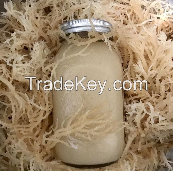 WHOLESALE PREMIUM QUALITY DRIED SEA MOSS IRISH SEA MOSS IRISH MOSS WITHOUT SALTED FROM VIETNAM SERENA