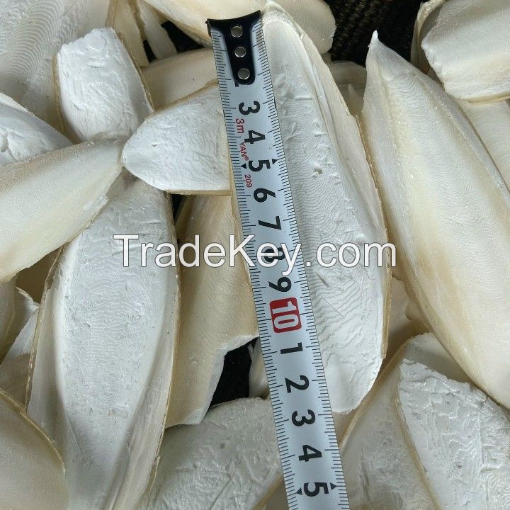 Best choice, high quality cuttlefish bone, pet food in Vietnam