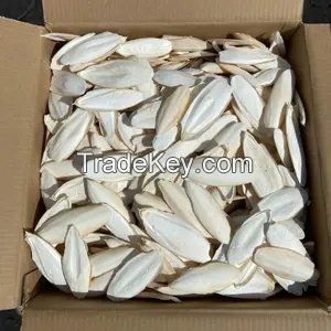 Good price, The biggest supplier Dried Cuttle fish bone from Vietnam