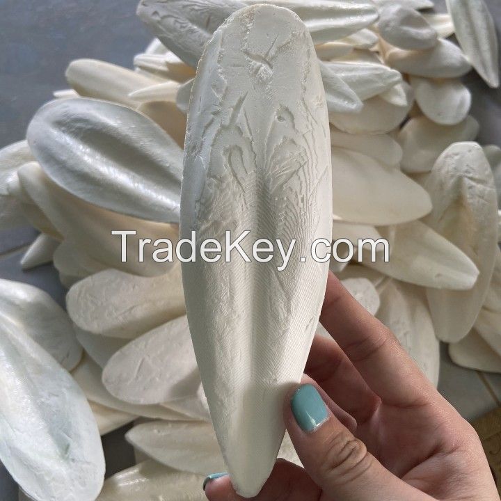 BEST PRICE FOR ANIMAL FEED MADE FROM CUTTLEFISH BONE IN VIETNAM