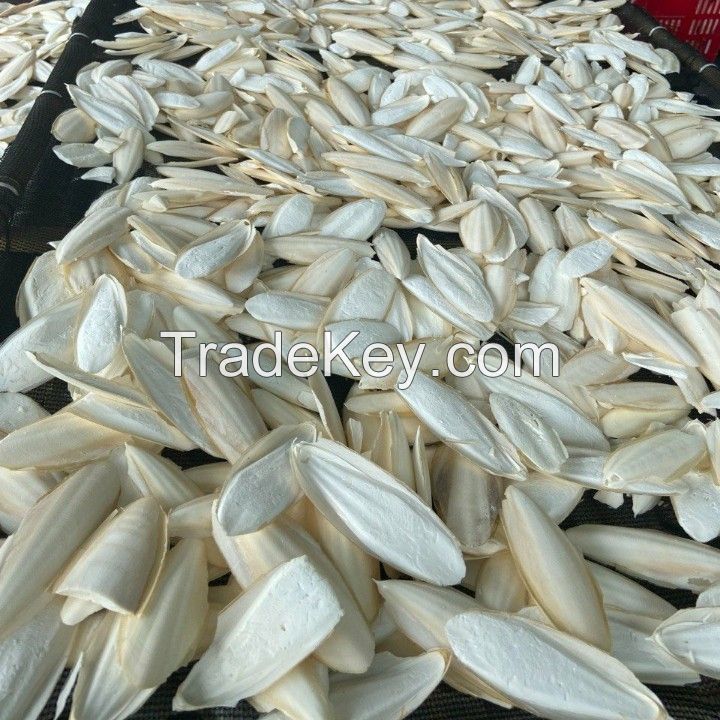 High Quality Cuttlefish Bone Animal Feed Cuttlebone From Vietnam