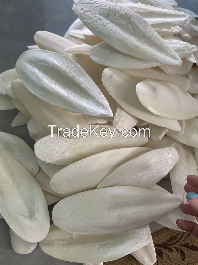 High Quality Animal Feed Body Part Natural White Seafood Small Dried Cuttlefish Bone with Bag Packaging