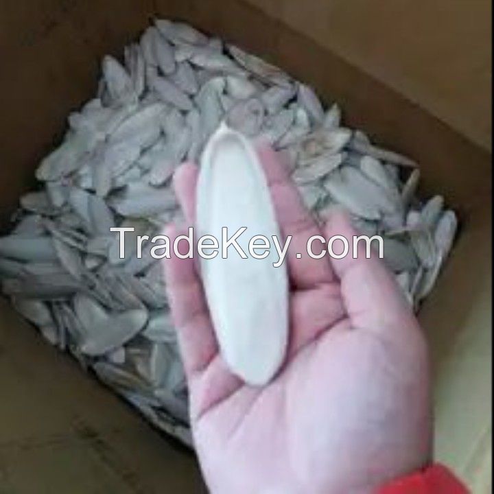 Best choice, high quality cuttlefish bone, pet food in Vietnam