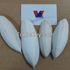 VIETNAM Dried Cuttlefish Bone with High Quality Best Exercise Toy For Birds Best Deal 2023