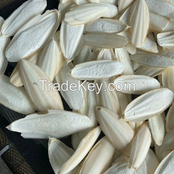 Hot selling Cuttlefish Bone- Cuttlefish Bone for toys bird in Vietnam