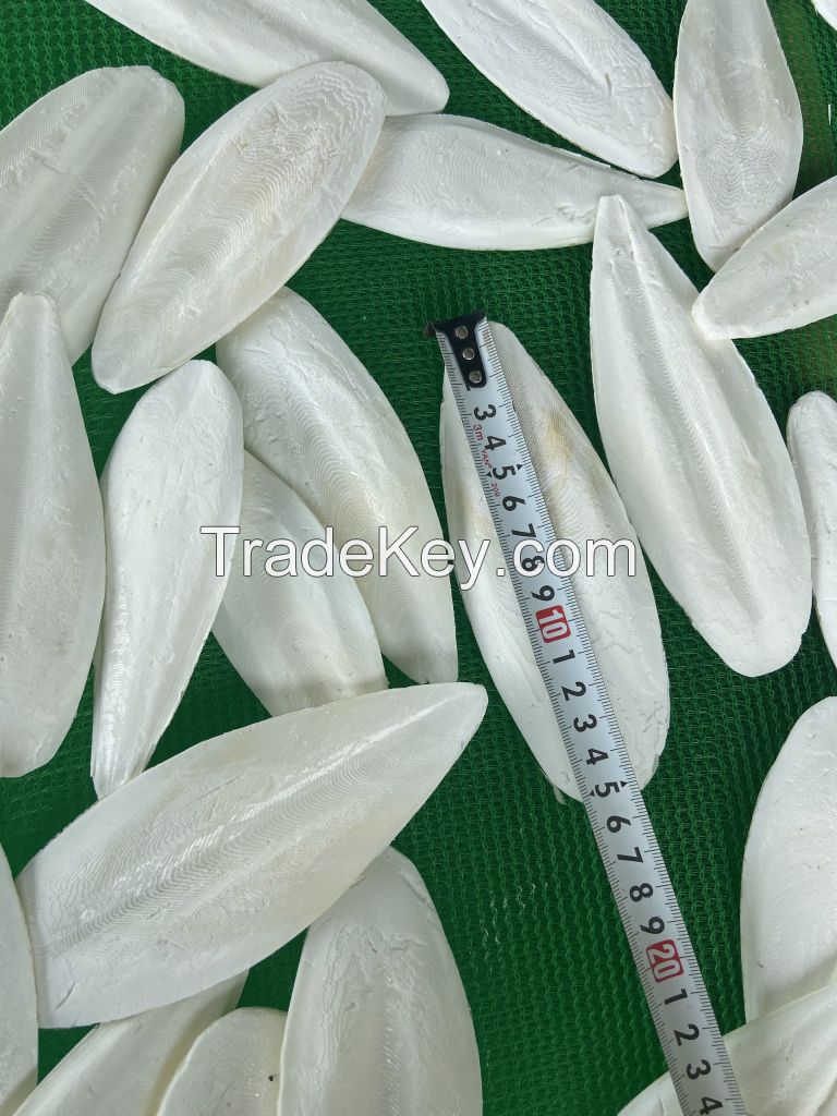 VIETNAM Dried Cuttlefish Bone with High Quality Best Exercise Toy For Birds Best Deal 2023