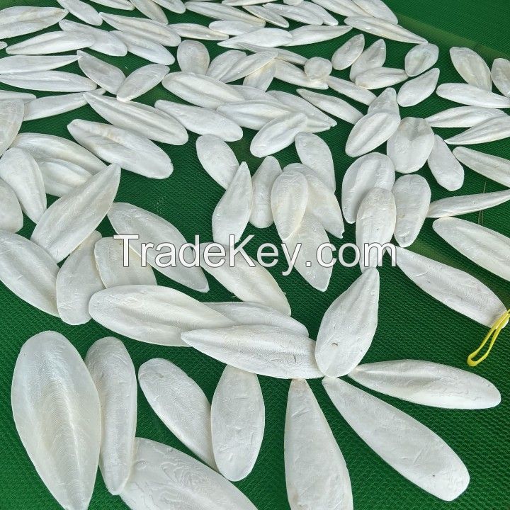 BEST PRICE FOR ANIMAL FEED MADE FROM CUTTLEFISH BONE IN VIETNAM