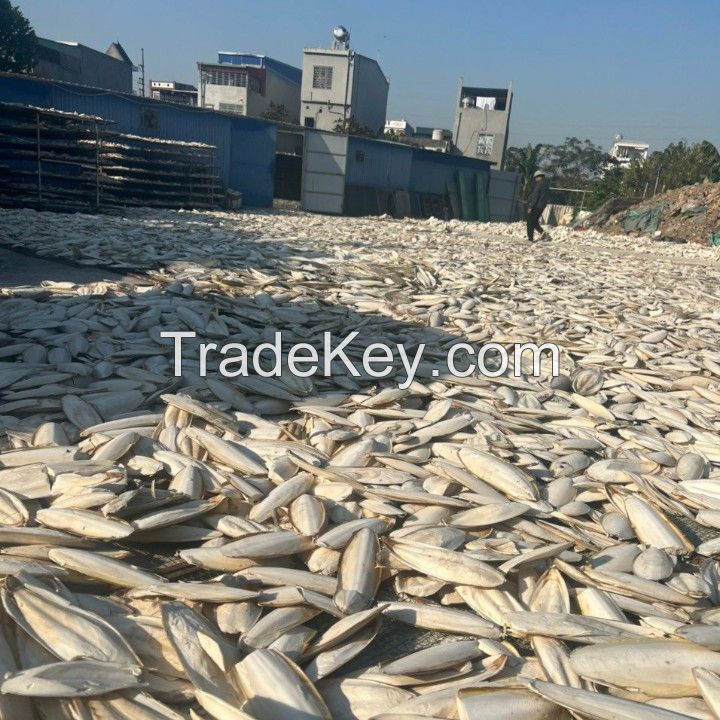 BEST PRICE FOR ANIMAL FEED MADE FROM CUTTLEFISH BONE IN VIETNAM