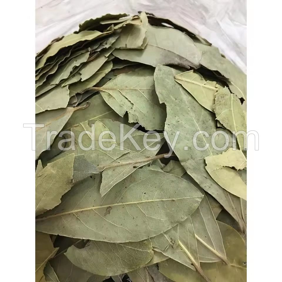 Wholesale 100% Natural Spices Dried Bay Leaves Laurel Leaves At Good Prices