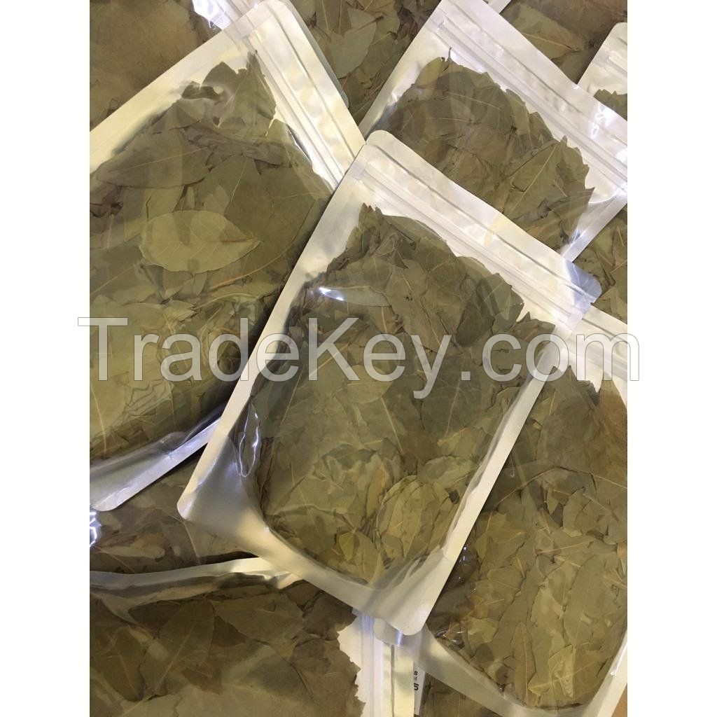 Hot Sale Herbs And Spices Cooking Seasoning Dried Bay Leaf At Low Price - Top Quality From Vietnam