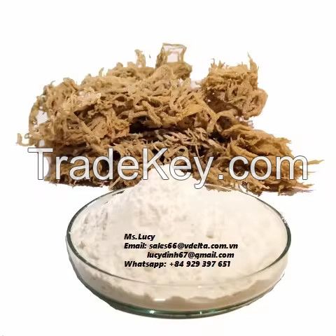 High Quality Carrageenan pice 100% natural Carrageenan powder originating from Vietnam