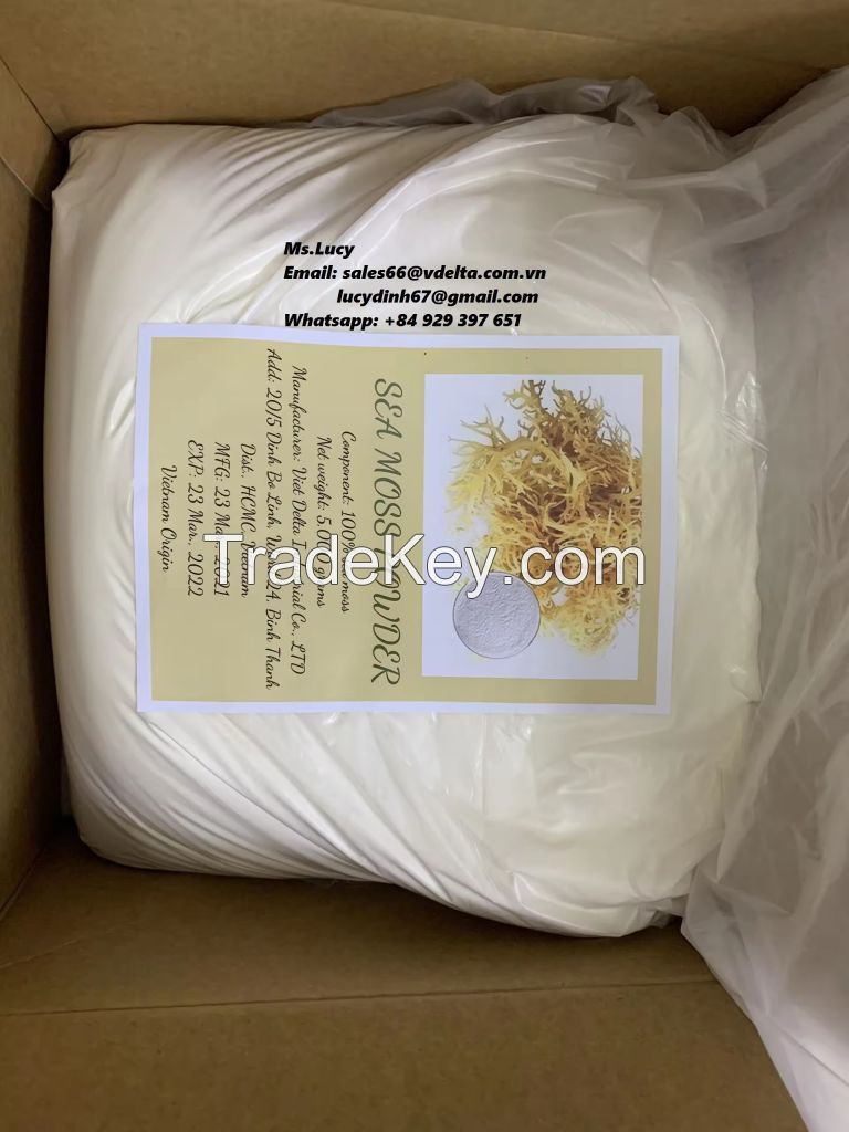 High quality Cheap Price Export in Bulk Carrageenan For Jelly Powder/ Sea Moss Powder/ Carrageenan Powder From Vietnam