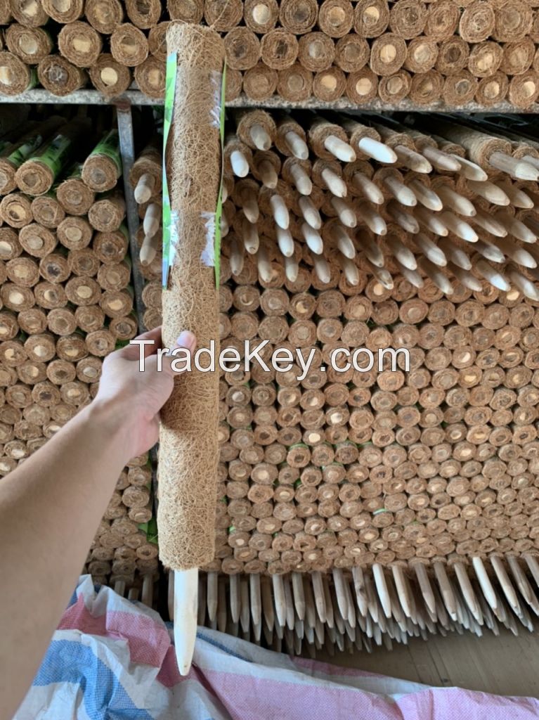 Wholesale Bendable Plant Sticks Support For Climbing Growth Coir Pole Stakes For Indoor Plants Moss Pole For Plant From Vietnam