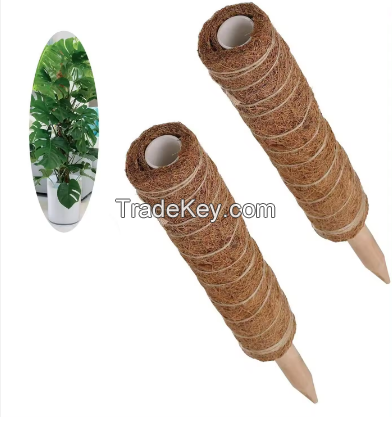 Wholesale Bendable Plant Sticks Support For Climbing Growth Coir Pole Stakes For Indoor Plants Moss Pole For Plant From Vietnam