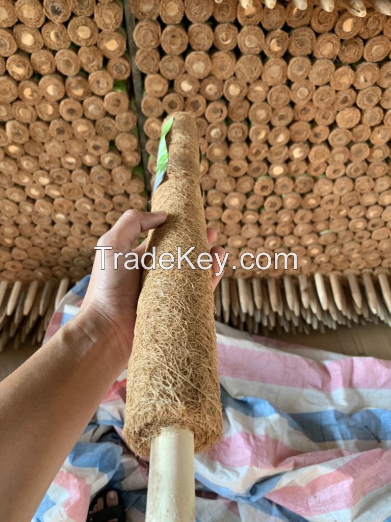 Wholesale Bendable Plant Sticks Support For Climbing Growth Coir Pole Stakes For Indoor Plants Moss Pole For Plant From Vietnam