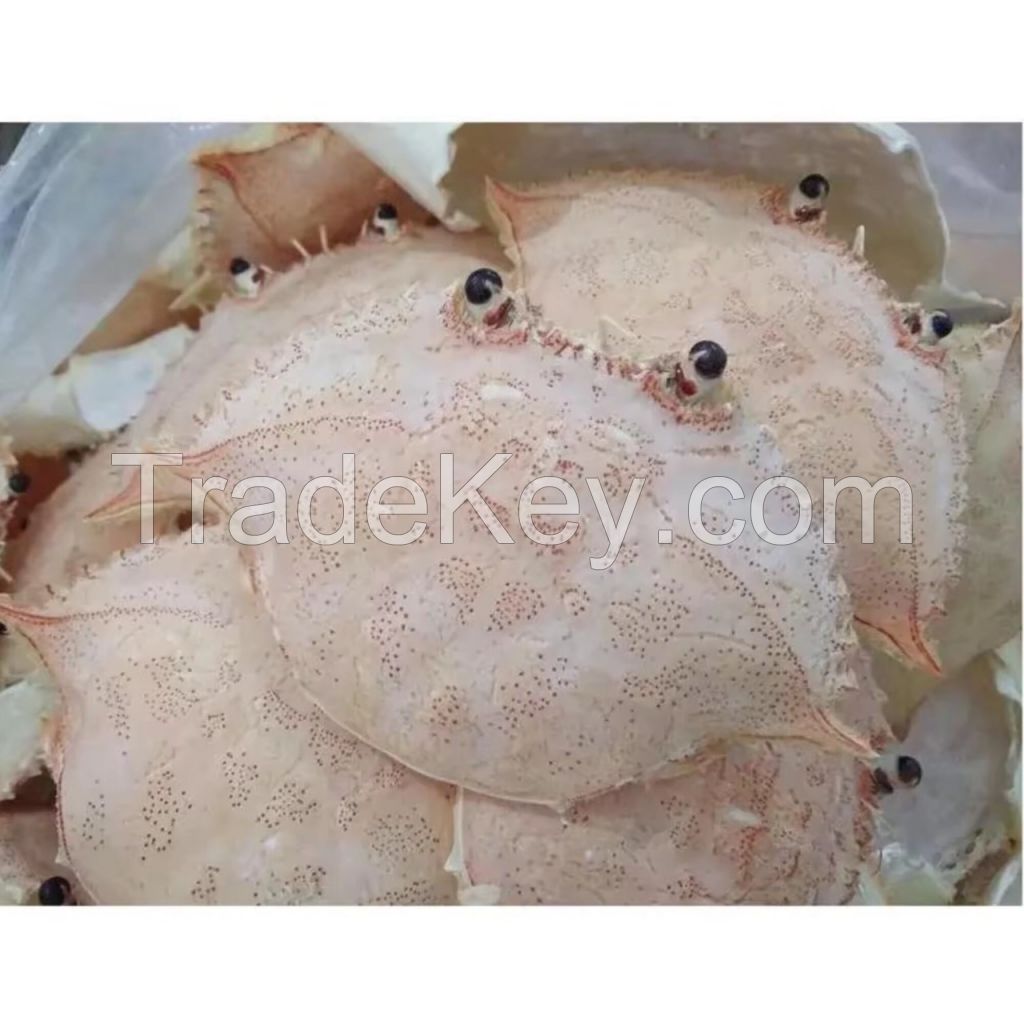 High Quality Crab Shell Food Animal Food Exported And Cheap Price From Vietdelta Vietnam Company