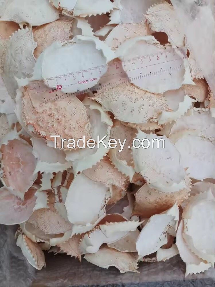 High Quality Crab Shell Food Animal Food Exported And Cheap Price From Vietdelta Vietnam Company