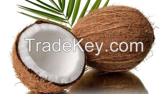 100% FROM COCONUT product for cooking - COCONUT MILK from Vietnam