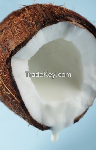 100% FROM COCONUT product for cooking - COCONUT MILK from Vietnam