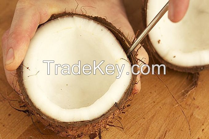 DRIED COCONUT/ Best Quality COCONUT COPRA from VIETNAM