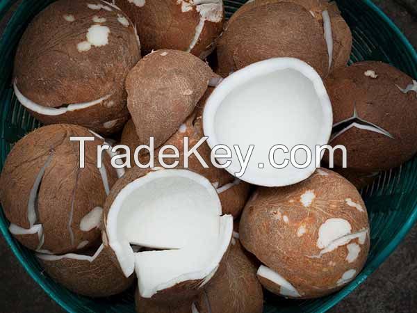 DRIED COCONUT/ Best Quality COCONUT COPRA from VIETNAM