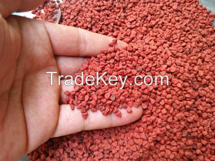 The Best Spice Vietnamese Annatto Seed/ Roucou Achiote Seeds from Vietnam