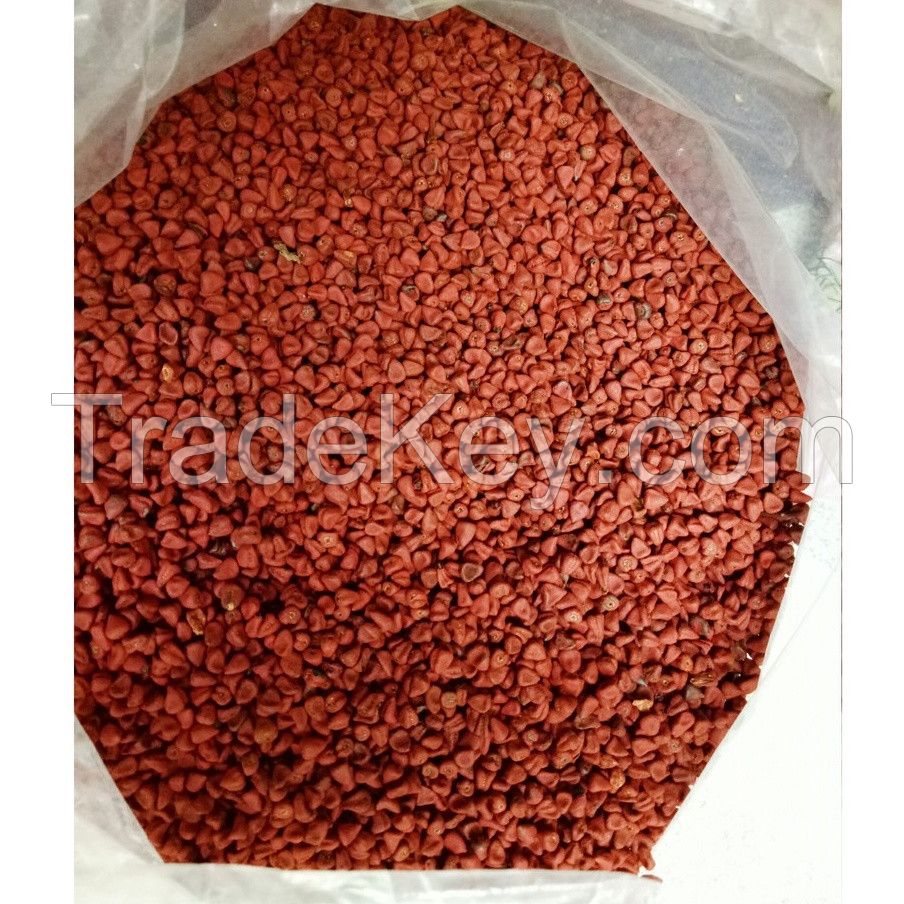 The Best Spice Vietnamese Annatto Seed/ Roucou Achiote Seeds from Vietnam