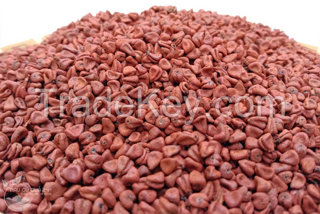 The Best Spice Vietnamese Annatto Seed/ Roucou Achiote Seeds from Vietnam