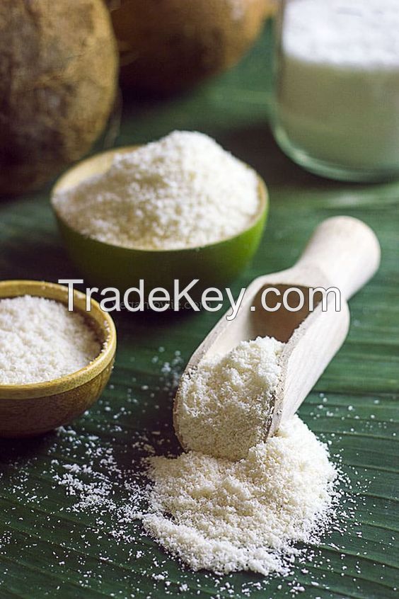 COCONUT MILK POWDER / Nata de coco desiccated / Coconut flour from Vietnam with HIGH QUALITY